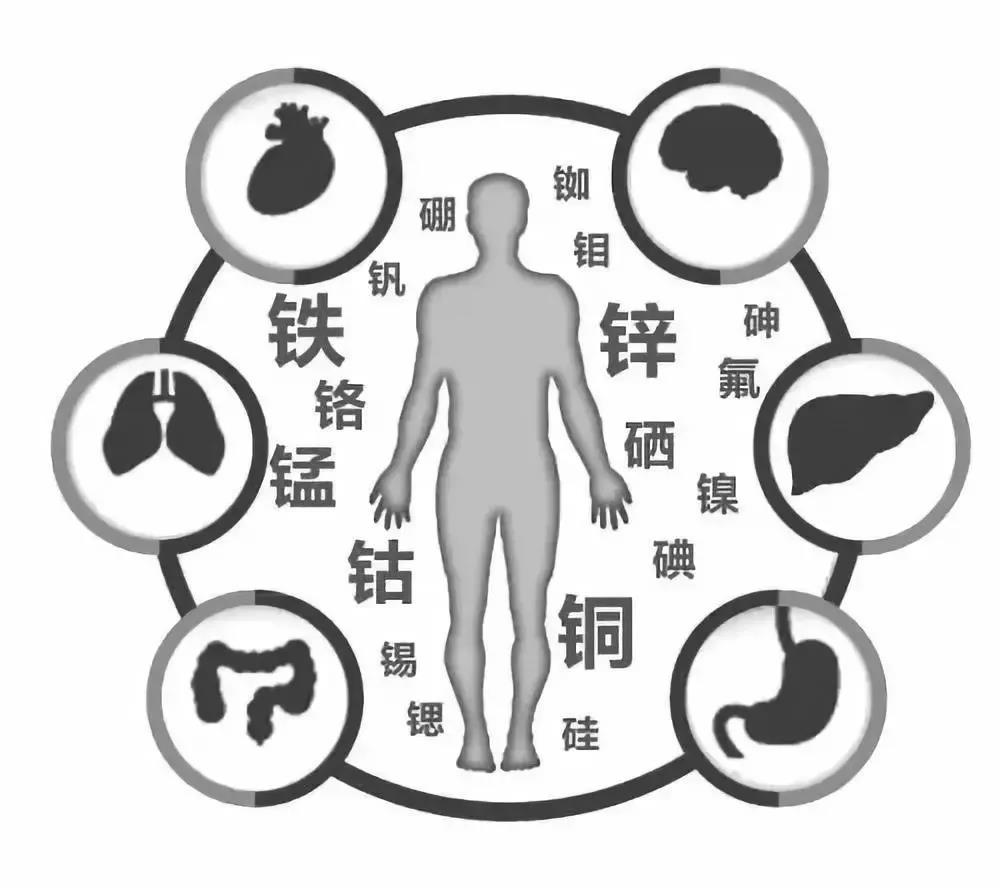 旋磁治療系統